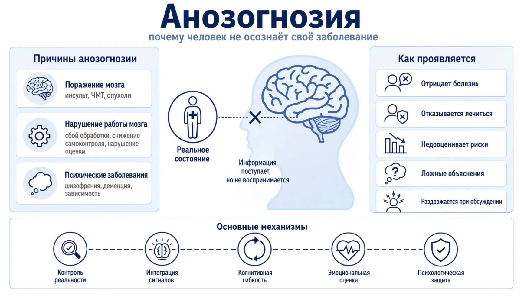 Инфографика: причины анозогнозии, нарушение критики к своему состоянию и характерные симптомы